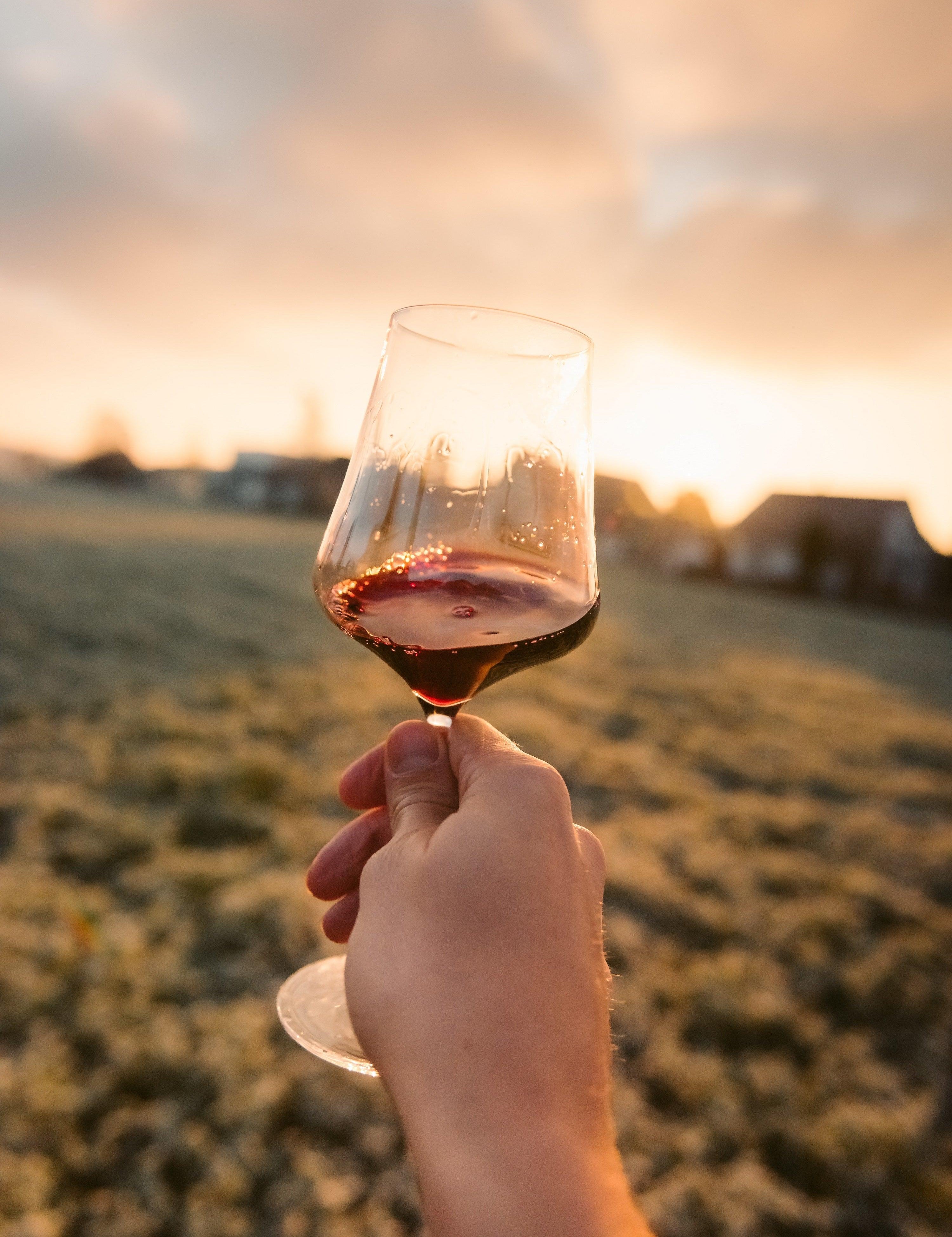 A look into the ice wine world 