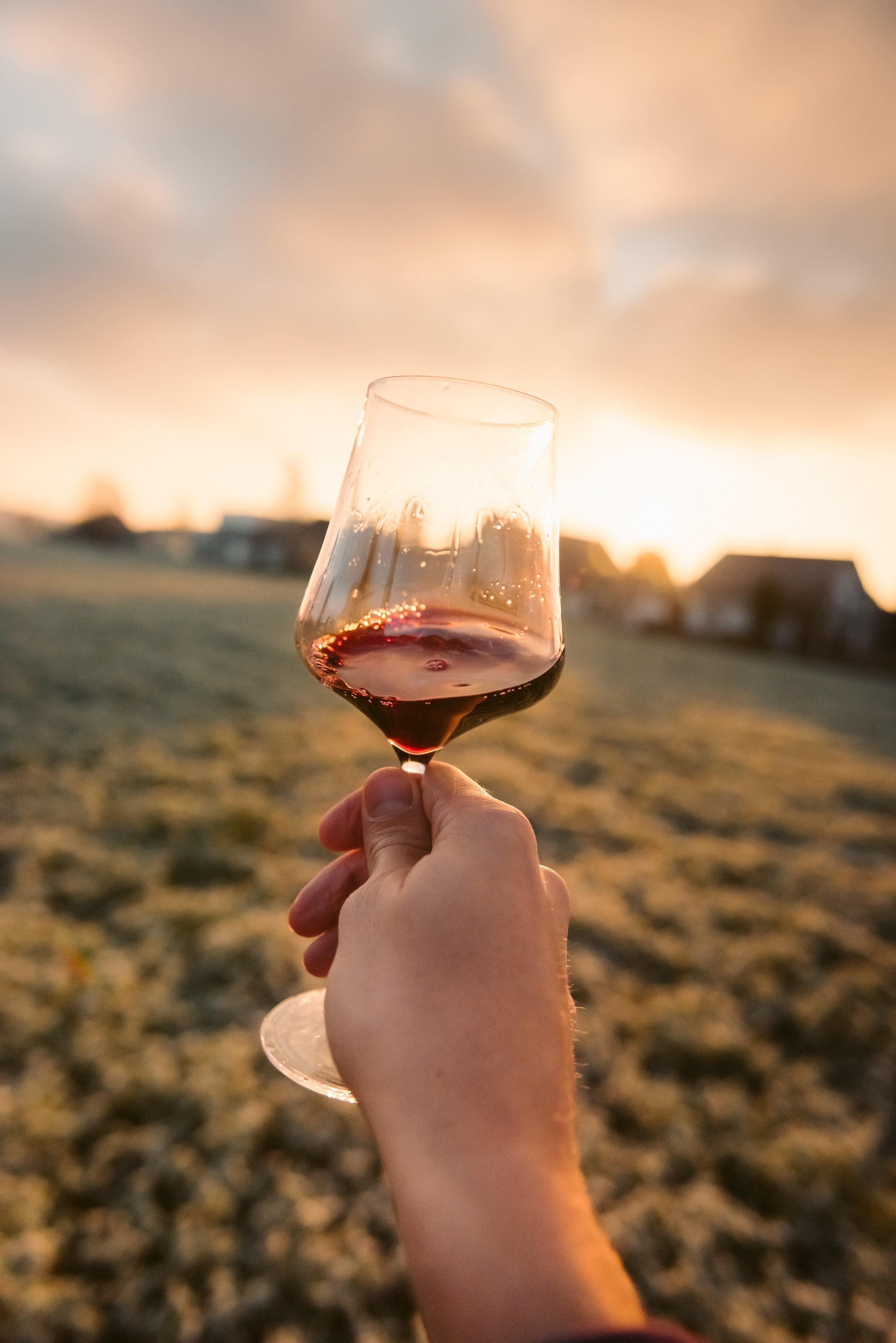 A look into the ice wine world 